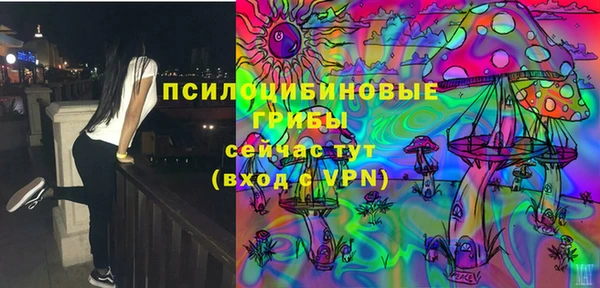 ALPHA-PVP Алексеевка