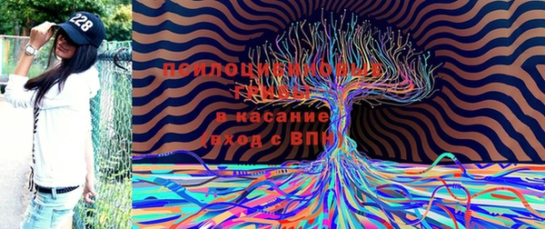 метадон Алзамай